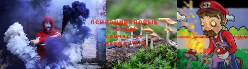 Галлюциногенные грибы Cubensis  купить наркотики сайты  кракен маркетплейс  Чишмы 